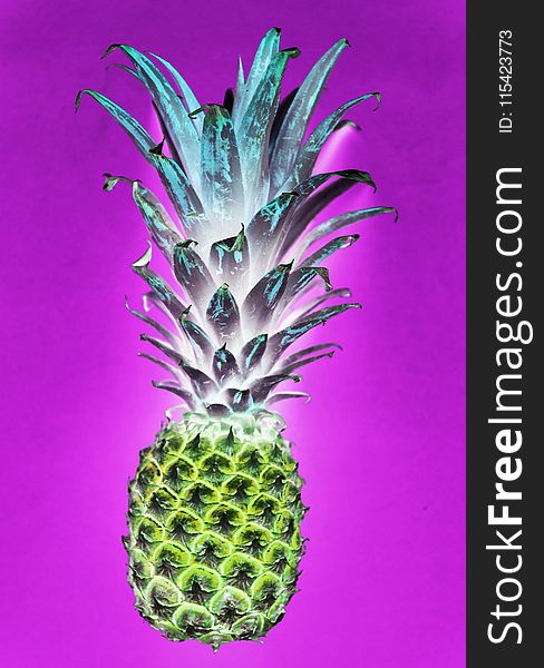 Pineapple Illustration