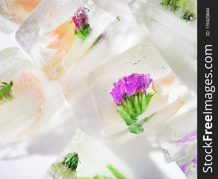 White Floral Ice Cube