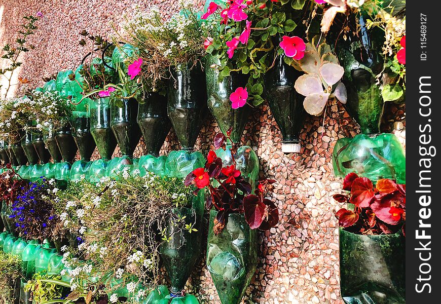 Spring flowers in plastic bottles in Israel. Close up shot. Spring flowers in plastic bottles in Israel. Close up shot