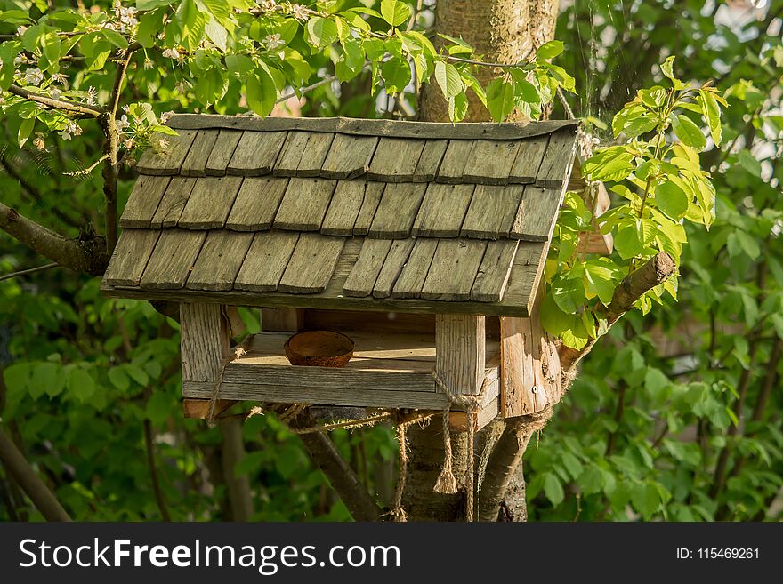 A small birdhouse hangs on the tree