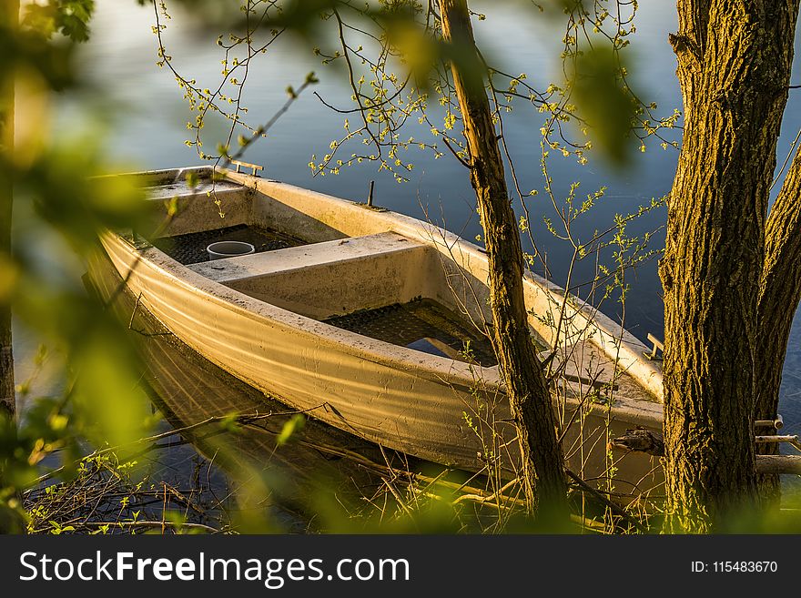 Brown Wooden Boat Near Tree