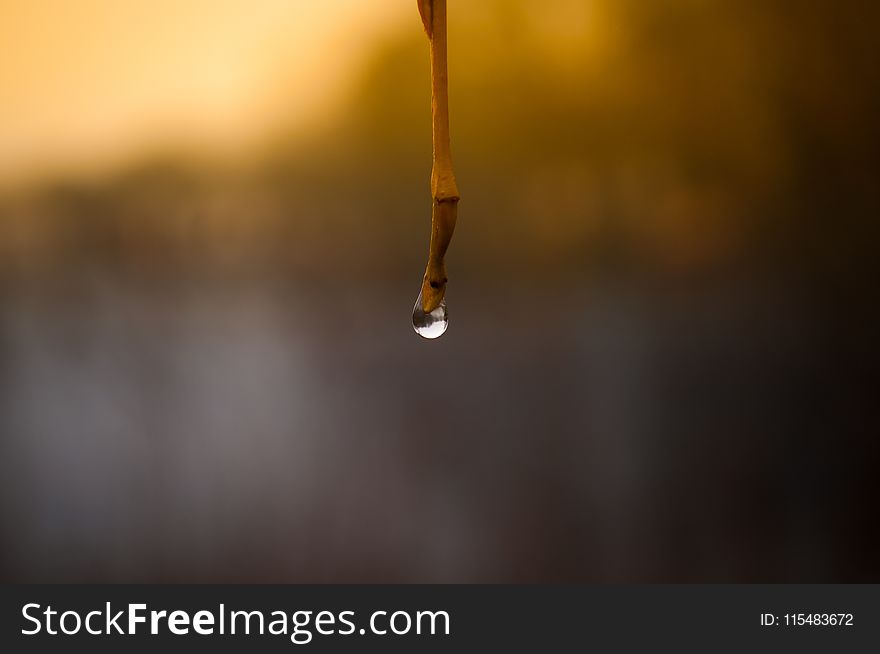 Tilt Shift Photo of Water Droplet