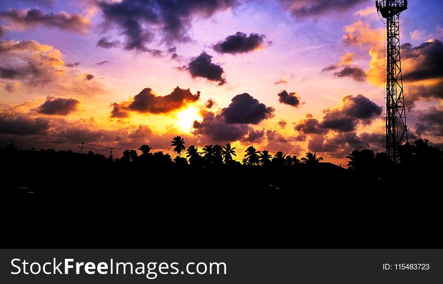 Silhouette of Trees and Tower during Sunset