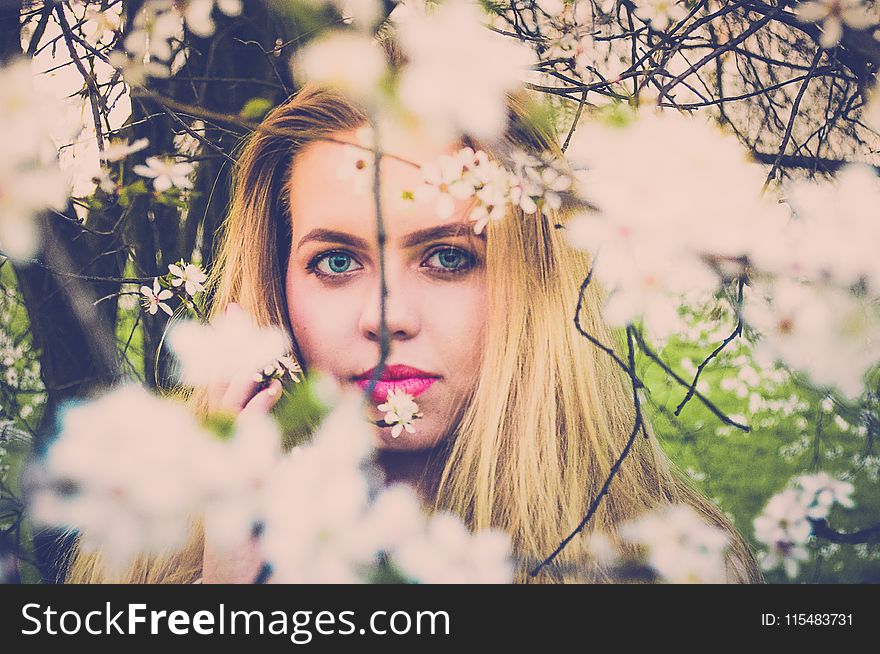 Woman With Pink Lipsticks And Blonde Taking Photo With White Petaled Flowers