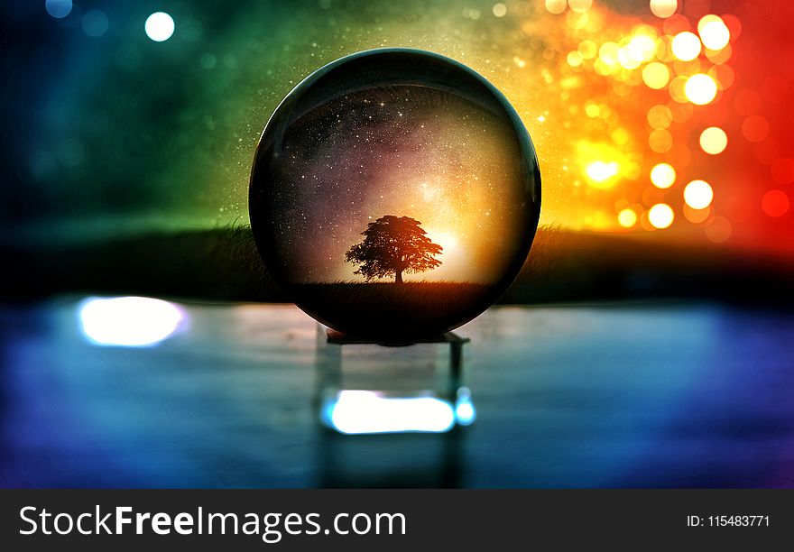 Selective Focus Photography of Water Globe With Tree Illustration