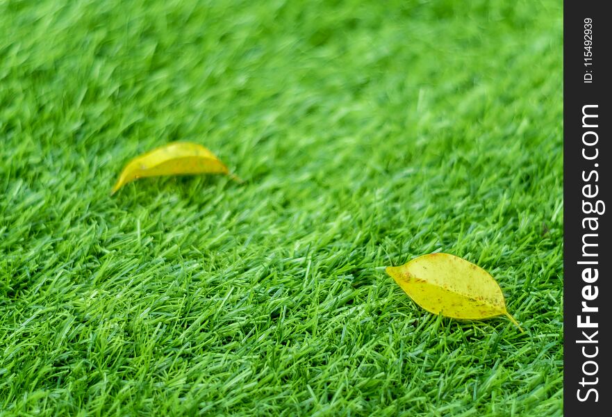 Texture of plastic artificial grass and the fall leaves by shallow depth of field. Texture of plastic artificial grass and the fall leaves by shallow depth of field