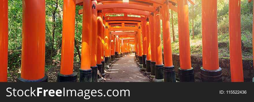 View To Torii Gates In Fushimi Inari Shrine