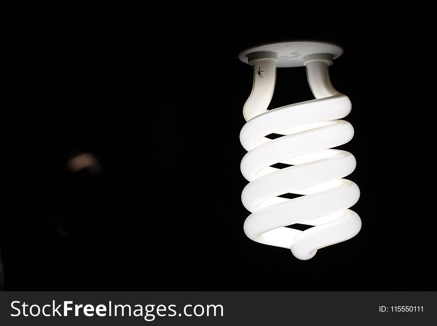Close-Up Photography of Spiral Lightbulb