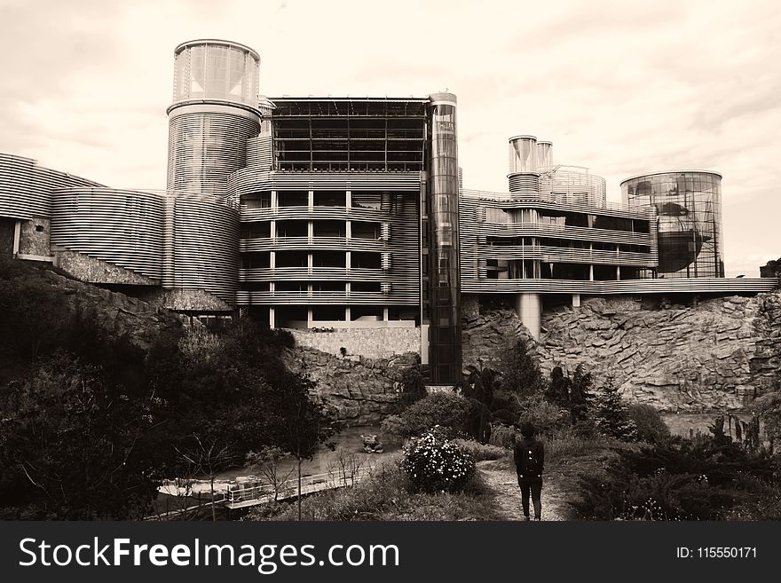 Grayscale Photography Of Person Looking At The Building