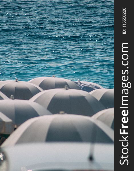 Photography of Umbrellas Near Ocean