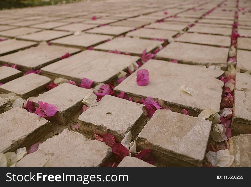 Gray Concrete Roads