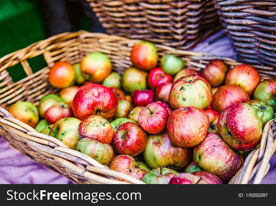 Photo of Red and Green Apples