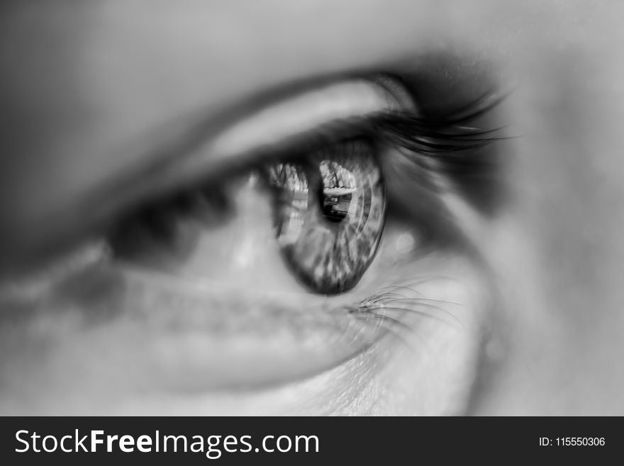 Grayscale Macro Photography of Person&#x27;s Eye
