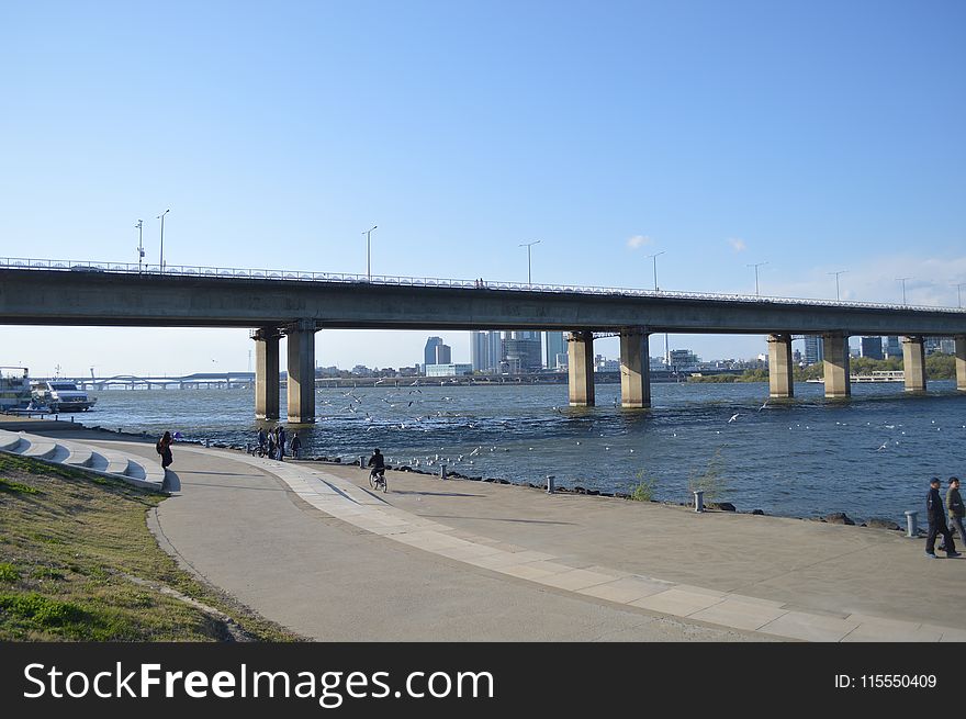 Pathway Under Concrete Bridge