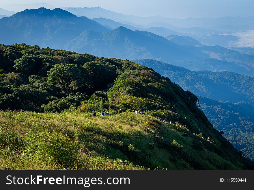 Green Leaf Plants on Mountains Landscape Photography