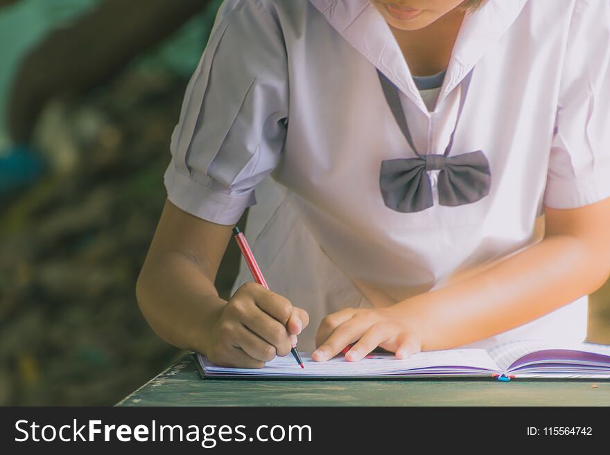 Female Student Write A Notebook For Graduates In Secondary Schoo