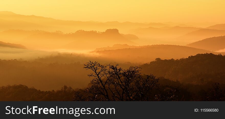 Sunrise.Beautiful sky and golden clouds.