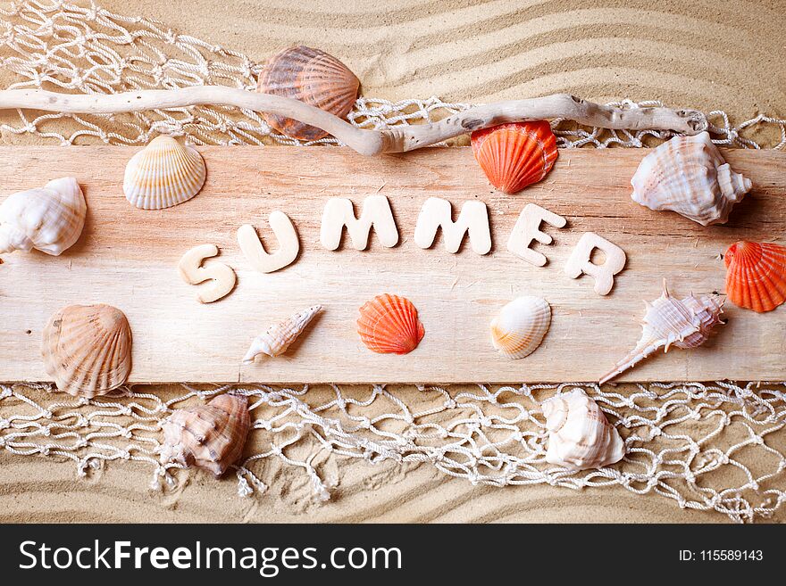 Landscape with shells on tropical beach. Rest on the beach. Travel.