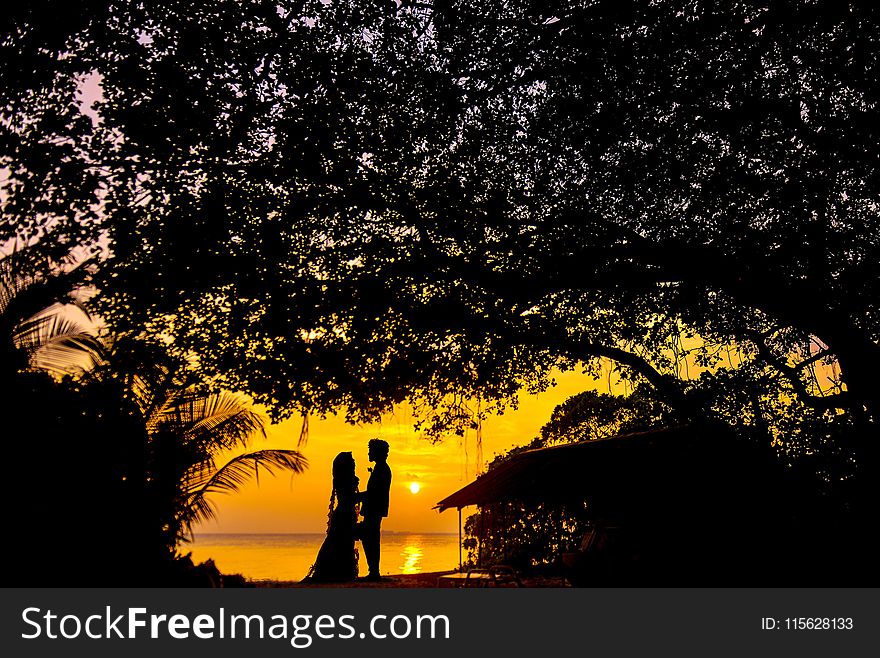 Silhouette Photo of Man and Woman during Sunset