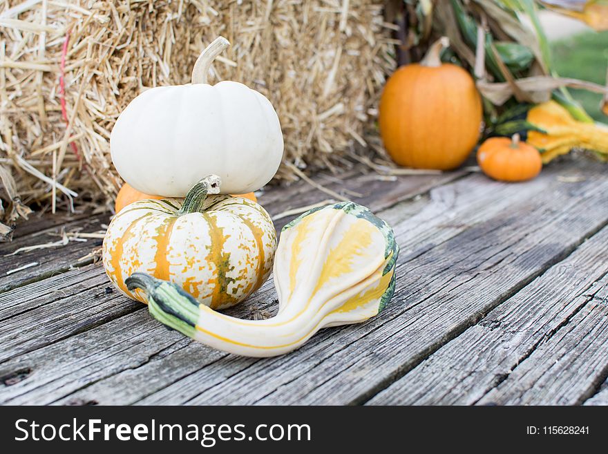 Close-up Photography of Pumpkins