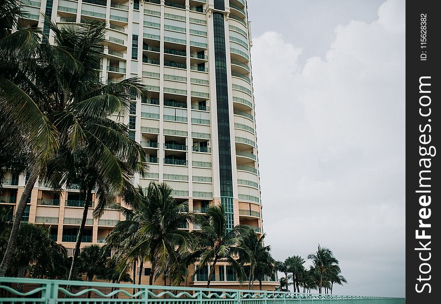 White And Black Condominium