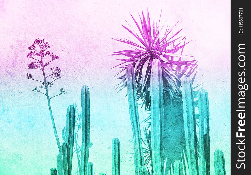 Green Cactuses Photograph And Color Gradient