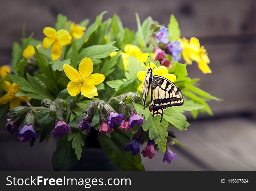 Butterfly and bouquet of field wild flowers in a vase on old boards.