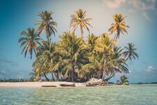Tropical Island - Palm Tree, Beach And Ocean Stock Image