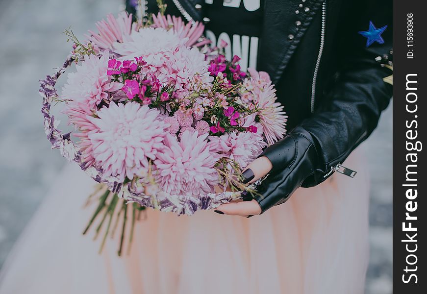 Person in Black Leather Jacket Pink and Red Flower Bouquet