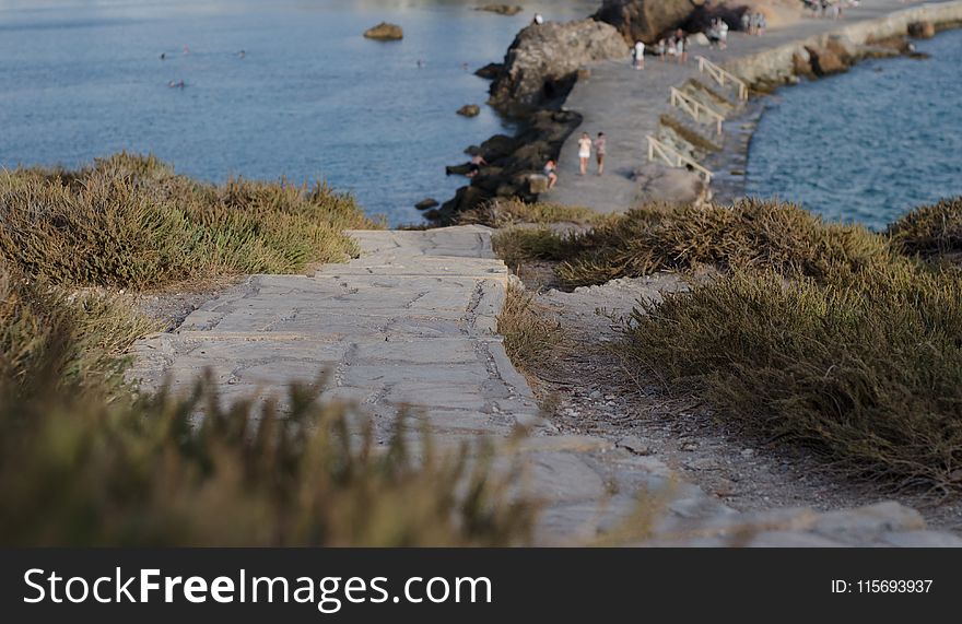 Selective Focus Photography Of Green Grass Near Beach