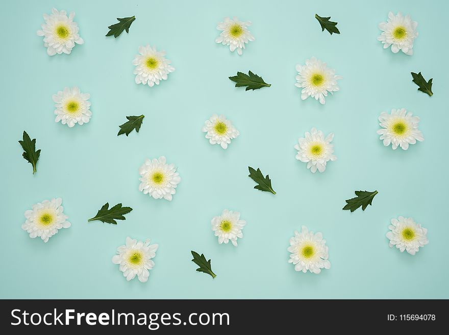 White Flowers and Leaves Decor