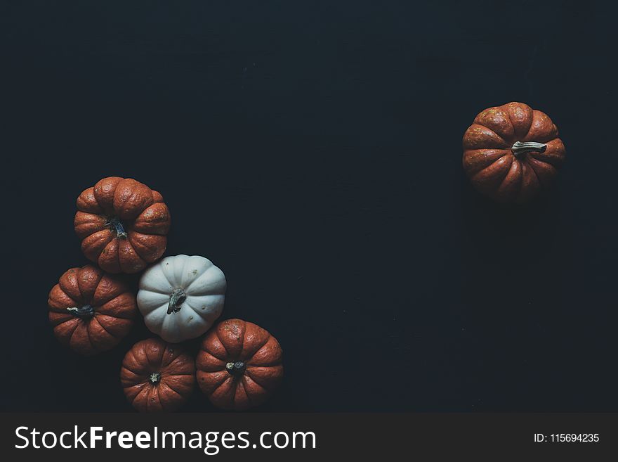 Photo of Brown and White Pumpkins