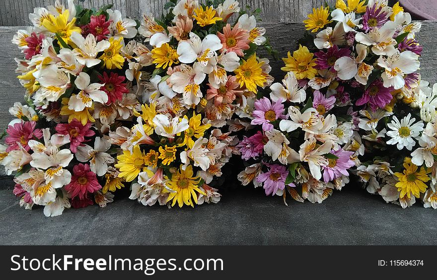 Clustered Flowers