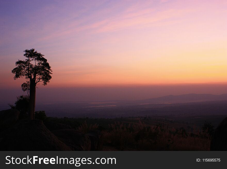 Tree on rock with cloud and sky in Moning twilight time