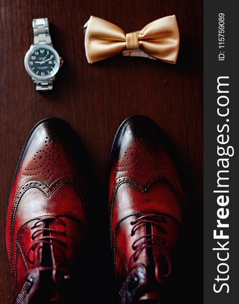 Groom Set Butterfly Shoes Watches Men`s Accessories