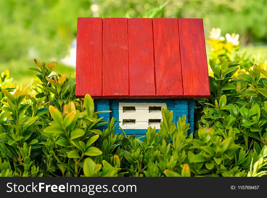 Small wooden house sun leaves plant green nature on blurred background