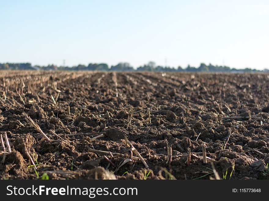 Eye-level Photo Of Cultivated Land