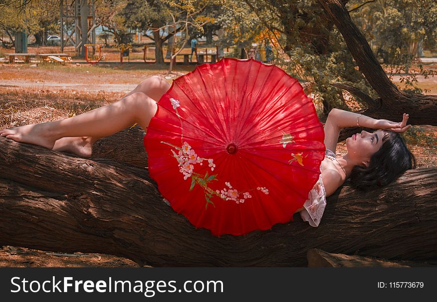 Woman Laying On Tree Log Holding Red Umbrella