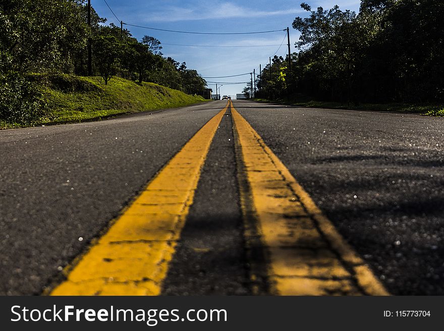 Road In Between Green Tree Under White Clouds And Blue Sky