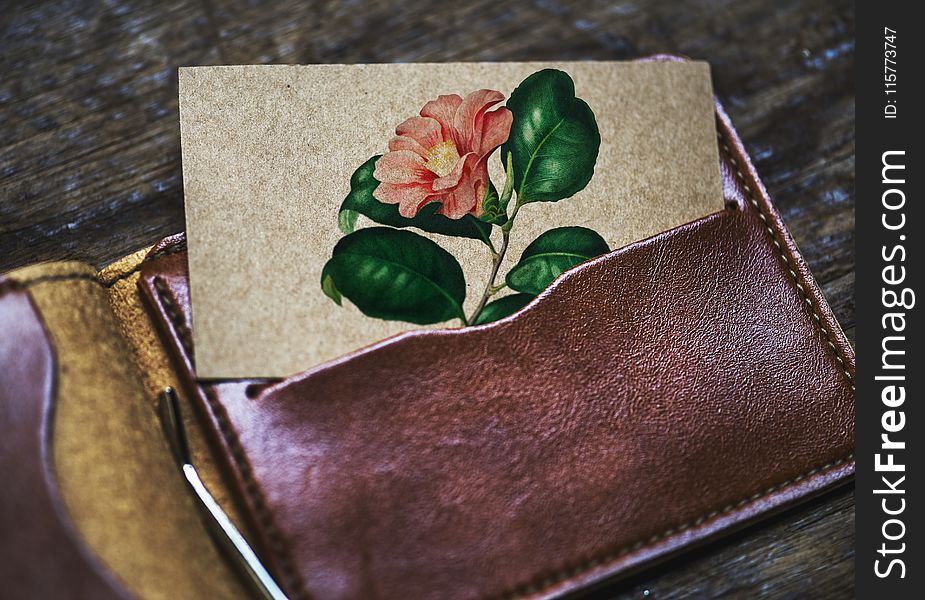 Brown Leather Card Wallet With Pink Petaled Flower Printed Card