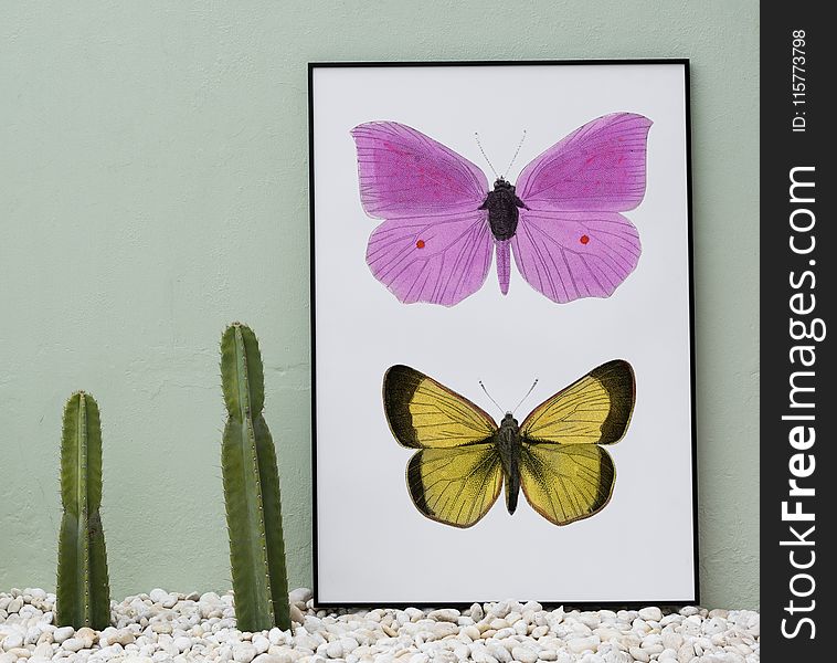 Pink and Yellow Butterflies Painting Beside Two Green Cacti