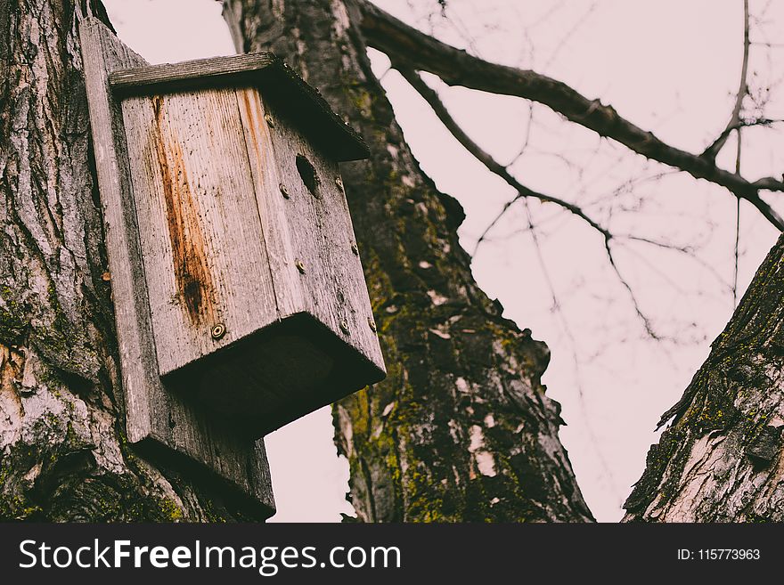 Brown Wooden Bird House on Tree