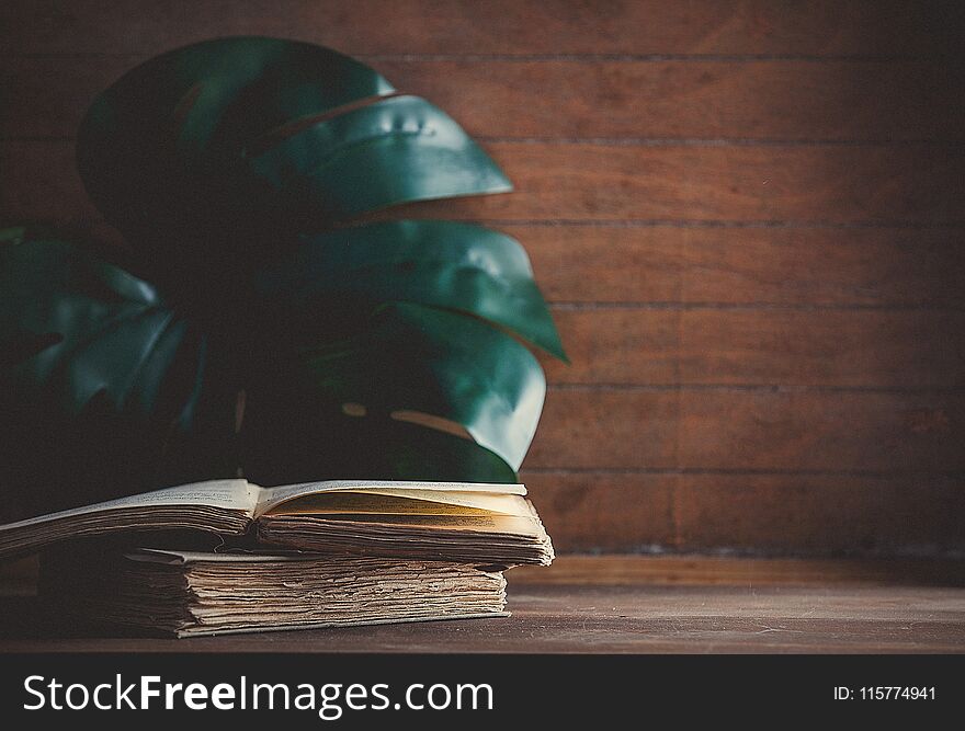 Green palm leaf and books on wooden background