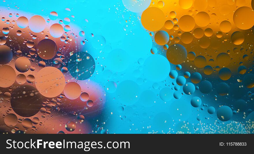 Oily Stains On The Surface Of The Water.