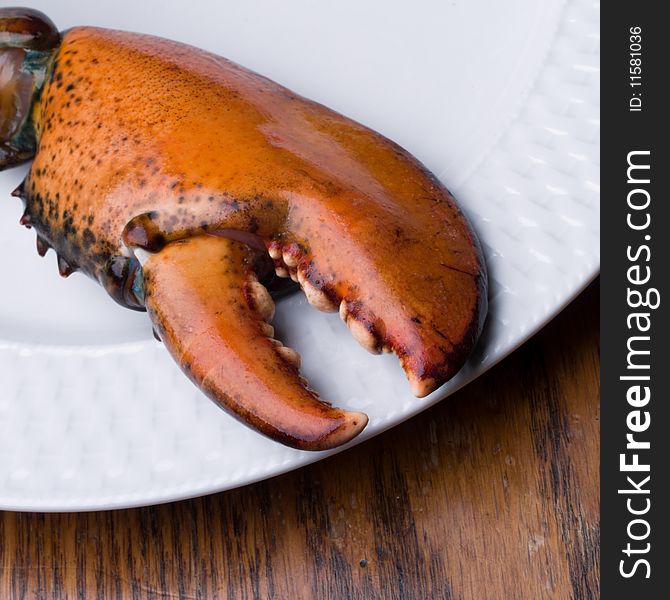 Lobster Claw on white plate