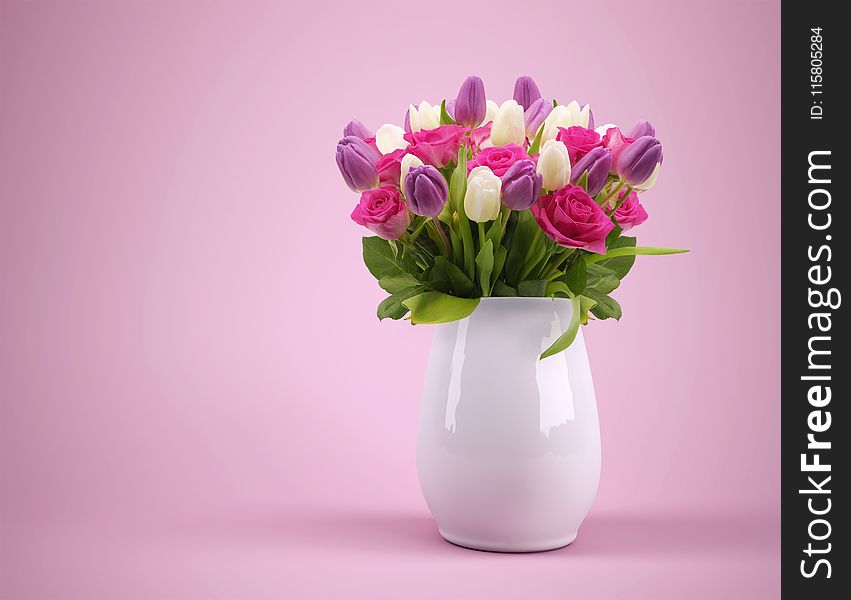 Flower, Flowering Plant, Pink, Vase