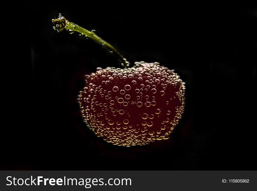 Still Life Photography, Organism, Macro Photography, Fruit