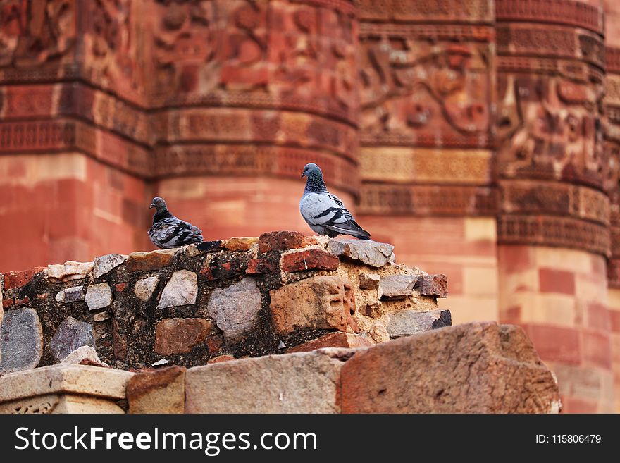 Wall, Archaeological Site, Ancient History, Brick