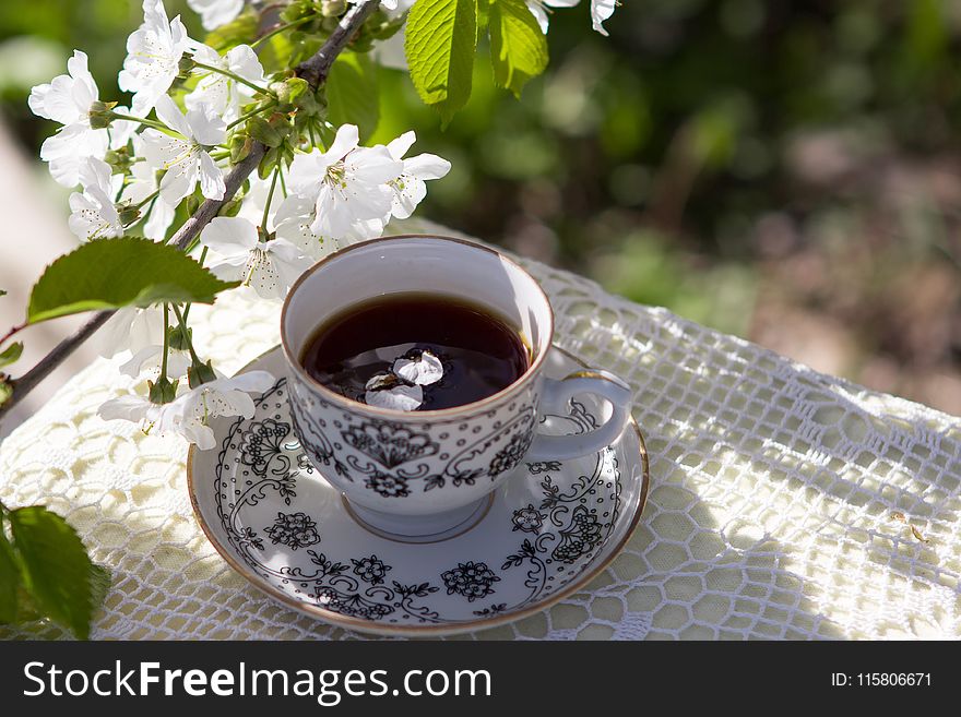 Coffee Cup, Flower, Tableware, Tea