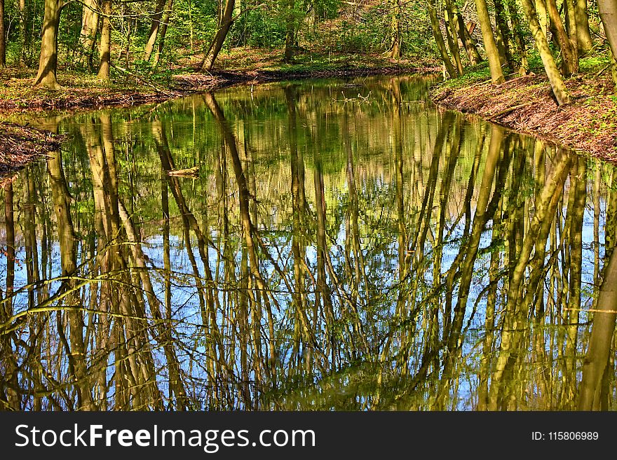 Water, Reflection, Nature, Nature Reserve